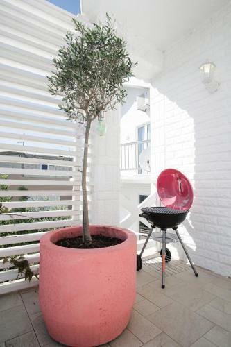 Pink House By Oliviya