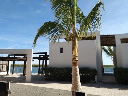 Hotel Mangrove Inn