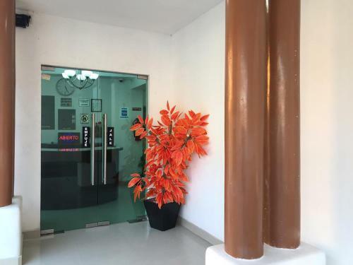 Hotel Los Faroles