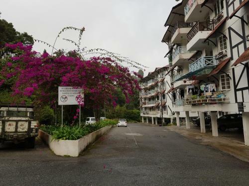 Apartamentos Amili's Guesthouse, Cameron Highland