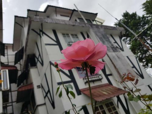 Apartamentos Amili's Guesthouse, Cameron Highland