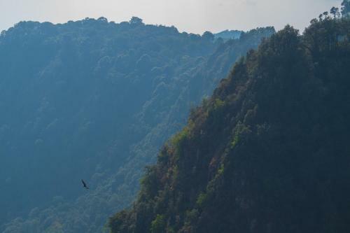 Koanze Luxury Hotel & Spa