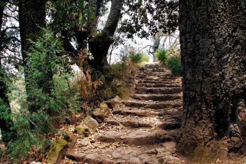 Hotel Rancho Yapalpan