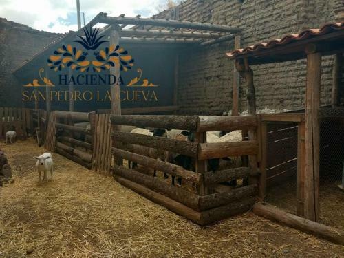 Hotel Hacienda San Pedro La Cueva