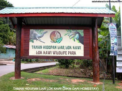 Borneo Sulaman Homestay