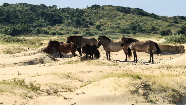 Hotel Ibis Styles Haarlem City