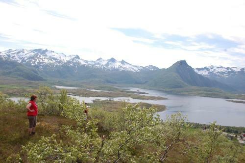 Apartamento Livland Lofoten