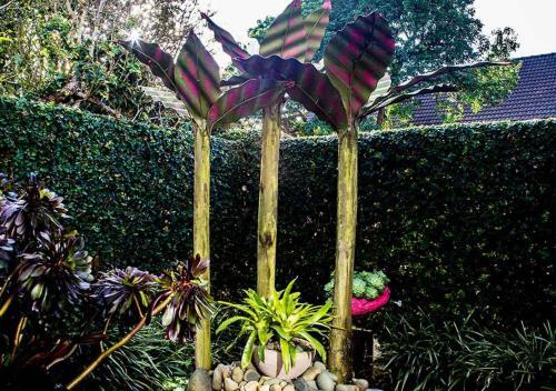 Bed & Breakfast Parnell Garden Suite