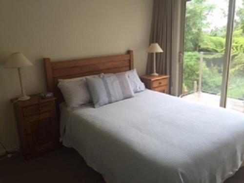 Bed & Breakfast Hahei Sea Vista (2)