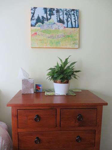 Bed & Breakfast Silvereye Retreat