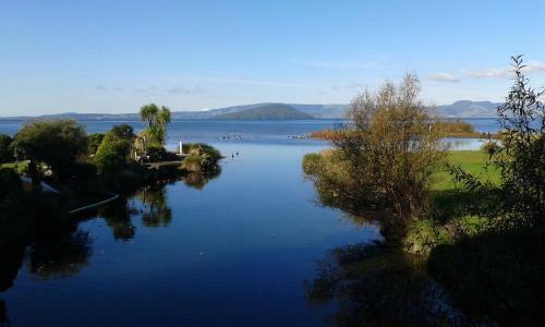 Bed & Breakfast Silvereye Retreat