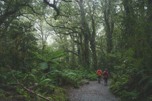 Motel Fiordland National Park Lodge