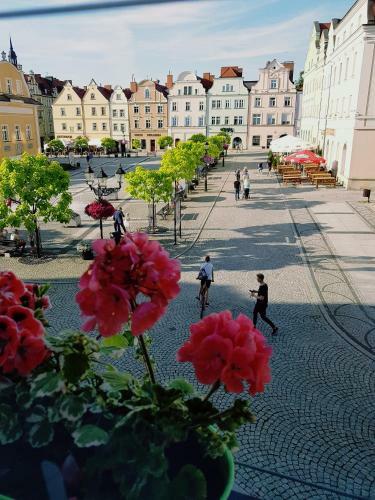 Apartamenty Przy Ratuszu