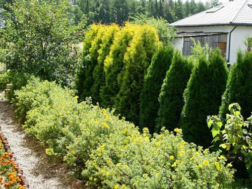 Holiday Home Villa Bieszkowice