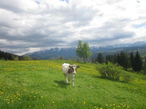 Apartamenty I Pokoje Rodzinne