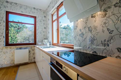 Deluxe Apartment With Balcony