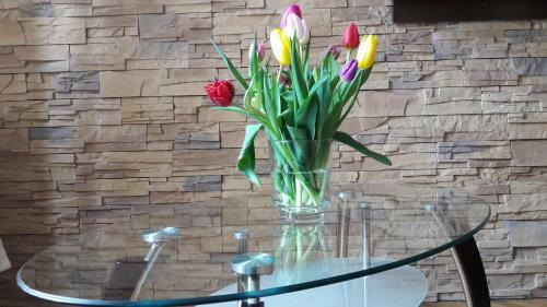 Apartament Przytulny Old Town Na Star�wce