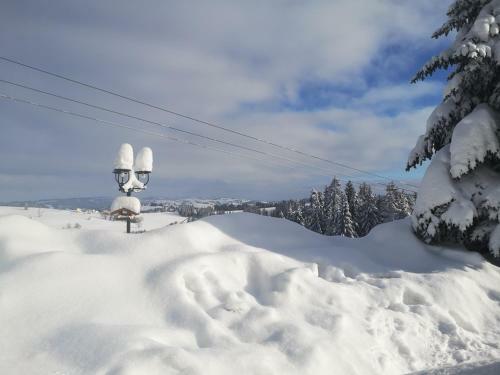 Hostal Willa Skorusyna