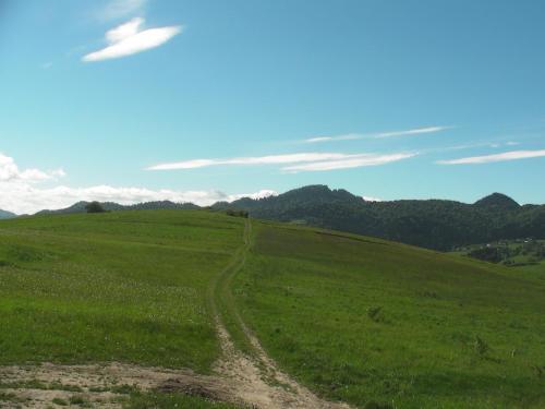 Hostal Willa Grywa?d