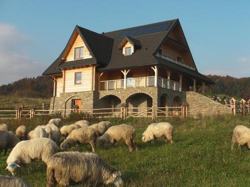 Hostal Willa Grywa?d