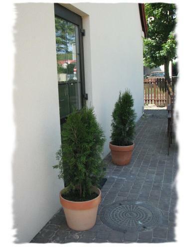 Hostal Letni Wiatr Willa Retro