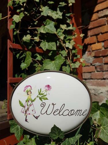 Villa Wyspa ?wierk�w