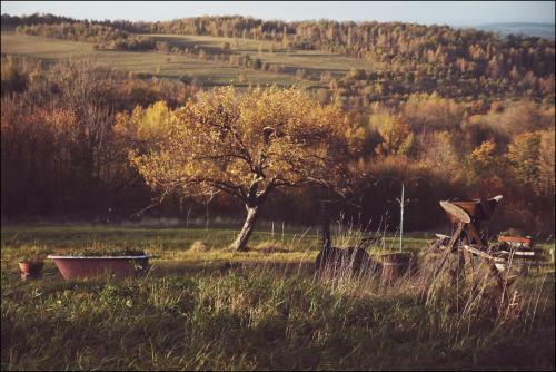 Agroturismo Banach�wka
