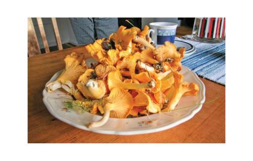 Holiday Home Signer�d Uddevalla