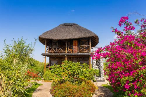 Lodge Manyara Wildlife Safari Camp