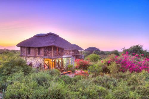Lodge Manyara Wildlife Safari Camp