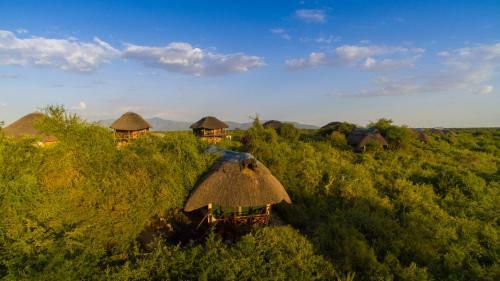 Lodge Manyara Wildlife Safari Camp