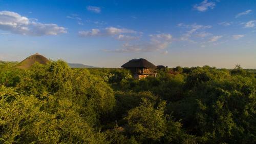 Lodge Manyara Wildlife Safari Camp