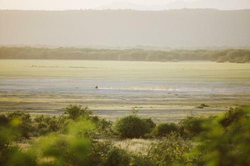 Lodge Manyara Wildlife Safari Camp