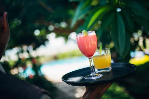 Lodge Manyara Wildlife Safari Camp
