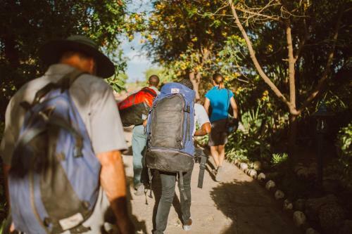 Lodge Manyara Wildlife Safari Camp