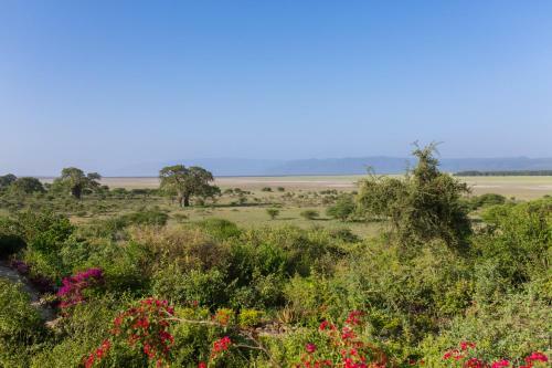 Lodge Manyara Wildlife Safari Camp