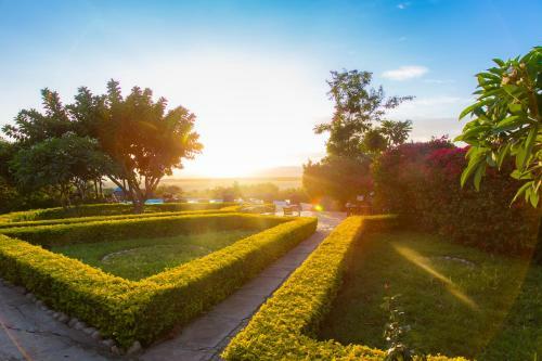 Lodge Manyara Wildlife Safari Camp