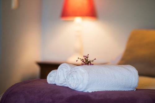 Hostal Casa Vicentina