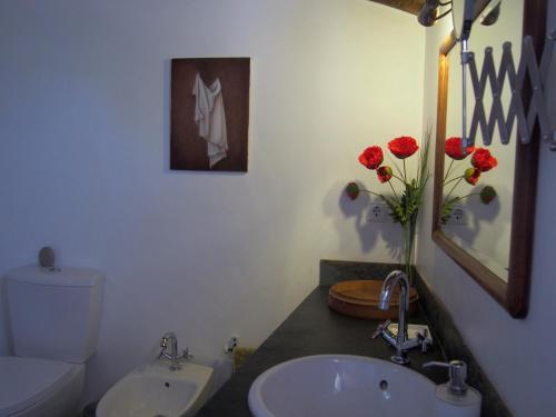 Monte Do Alentejo | Cozy Cottage