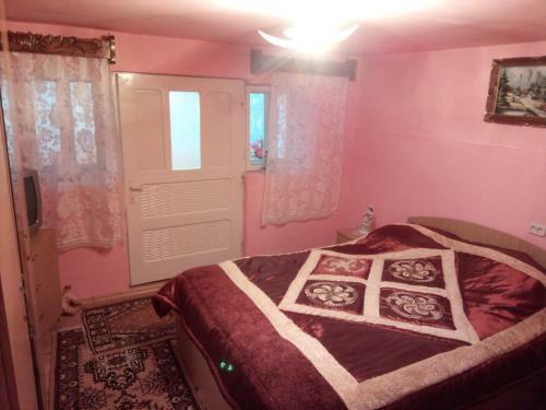 Hostal Pensiunea Daiana