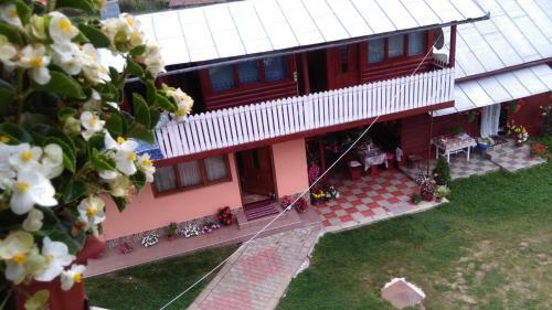 Hostal Pensiunea Daiana