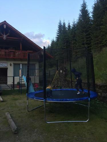 Hostal Cabana Cerbul-oasa-transalpina