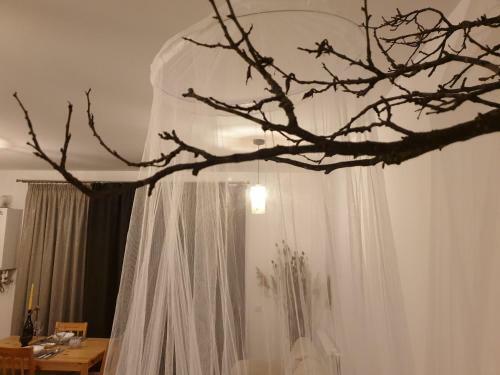 Apartamento Cluj City Iris Appartment