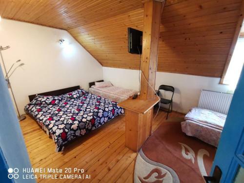Enjoy Hostel