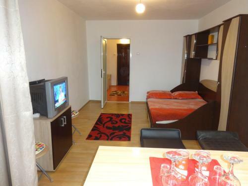 Apartamento Alina Accommodation