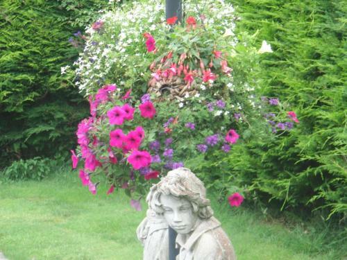 Bed & Breakfast Woodlands Guesthouse