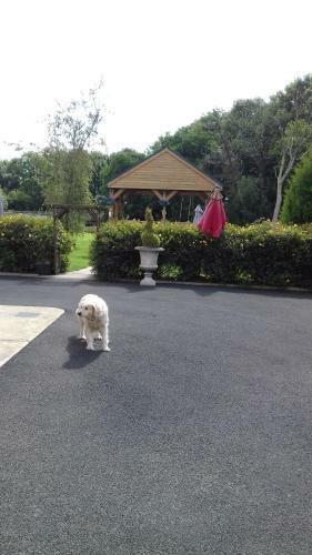 Bed & Breakfast Woodlands Guesthouse