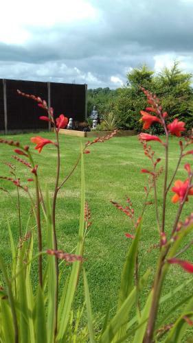 Bed & Breakfast Woodlands Guesthouse