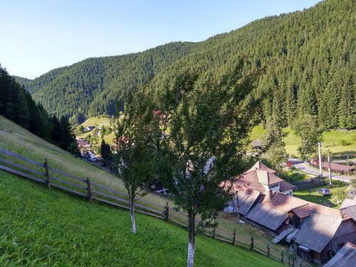 Hostal Casa Cu Flori