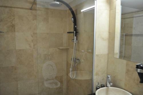 Hostal Transylvania Villa & Spa